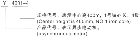 西安泰富西玛Y系列(H355-1000)高压YRKK5602-10三相异步电机型号说明