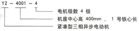 YR系列(H355-1000)高压YRKK5602-10三相异步电机西安西玛电机型号说明